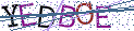 Type the letters shown in the picture