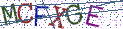 Type the letters shown in the picture