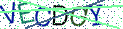 Type the letters shown in the picture