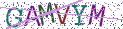 Type the letters shown in the picture