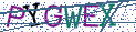 Type the letters shown in the picture