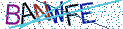 Type the letters shown in the picture