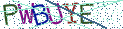 Type the letters shown in the picture