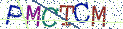 Type the letters shown in the picture