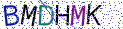 Type the letters shown in the picture
