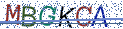 Type the letters shown in the picture