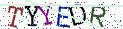 Type the letters shown in the picture