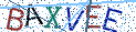 Type the letters shown in the picture