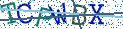 Type the letters shown in the picture