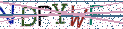 Type the letters shown in the picture