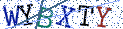 Type the letters shown in the picture