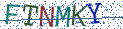 Type the letters shown in the picture