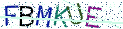 Type the letters shown in the picture