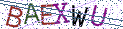 Type the letters shown in the picture