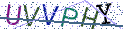 Type the letters shown in the picture
