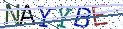 Type the letters shown in the picture