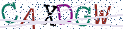 Type the letters shown in the picture