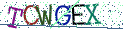Type the letters shown in the picture
