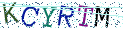 Type the letters shown in the picture