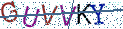 Type the letters shown in the picture