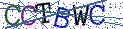 Type the letters shown in the picture