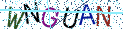 Type the letters shown in the picture