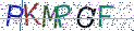 Type the letters shown in the picture