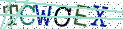 Type the letters shown in the picture