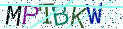 Type the letters shown in the picture