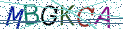 Type the letters shown in the picture
