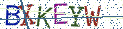 Type the letters shown in the picture