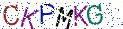 Type the letters shown in the picture