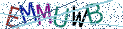 Type the letters shown in the picture