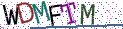 Type the letters shown in the picture