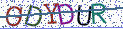 Type the letters shown in the picture