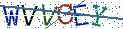 Type the letters shown in the picture