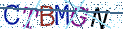 Type the letters shown in the picture