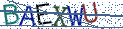Type the letters shown in the picture