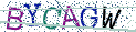 Type the letters shown in the picture