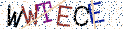 Type the letters shown in the picture