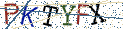 Type the letters shown in the picture