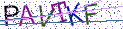 Type the letters shown in the picture