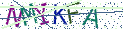 Type the letters shown in the picture