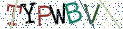 Type the letters shown in the picture