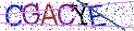 Type the letters shown in the picture