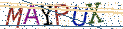 Type the letters shown in the picture