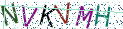 Type the letters shown in the picture