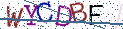 Type the letters shown in the picture