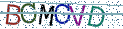Type the letters shown in the picture