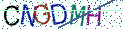 Type the letters shown in the picture